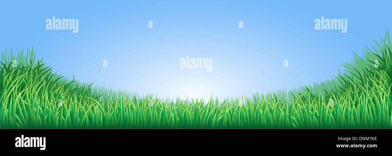 Un lussureggiante verde prato di campo o prato con un luminoso cielo blu Illustrazione Vettoriale
