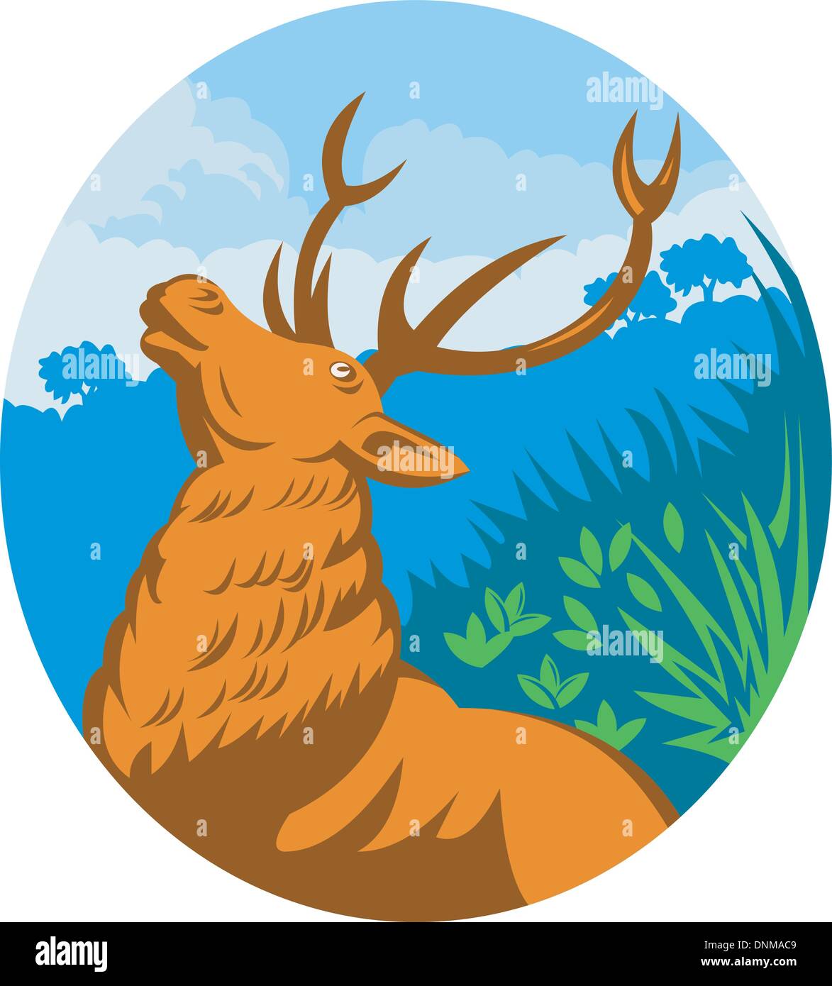 Illustrazione di un ruggente red Stag Cervo con la foresta in background Illustrazione Vettoriale