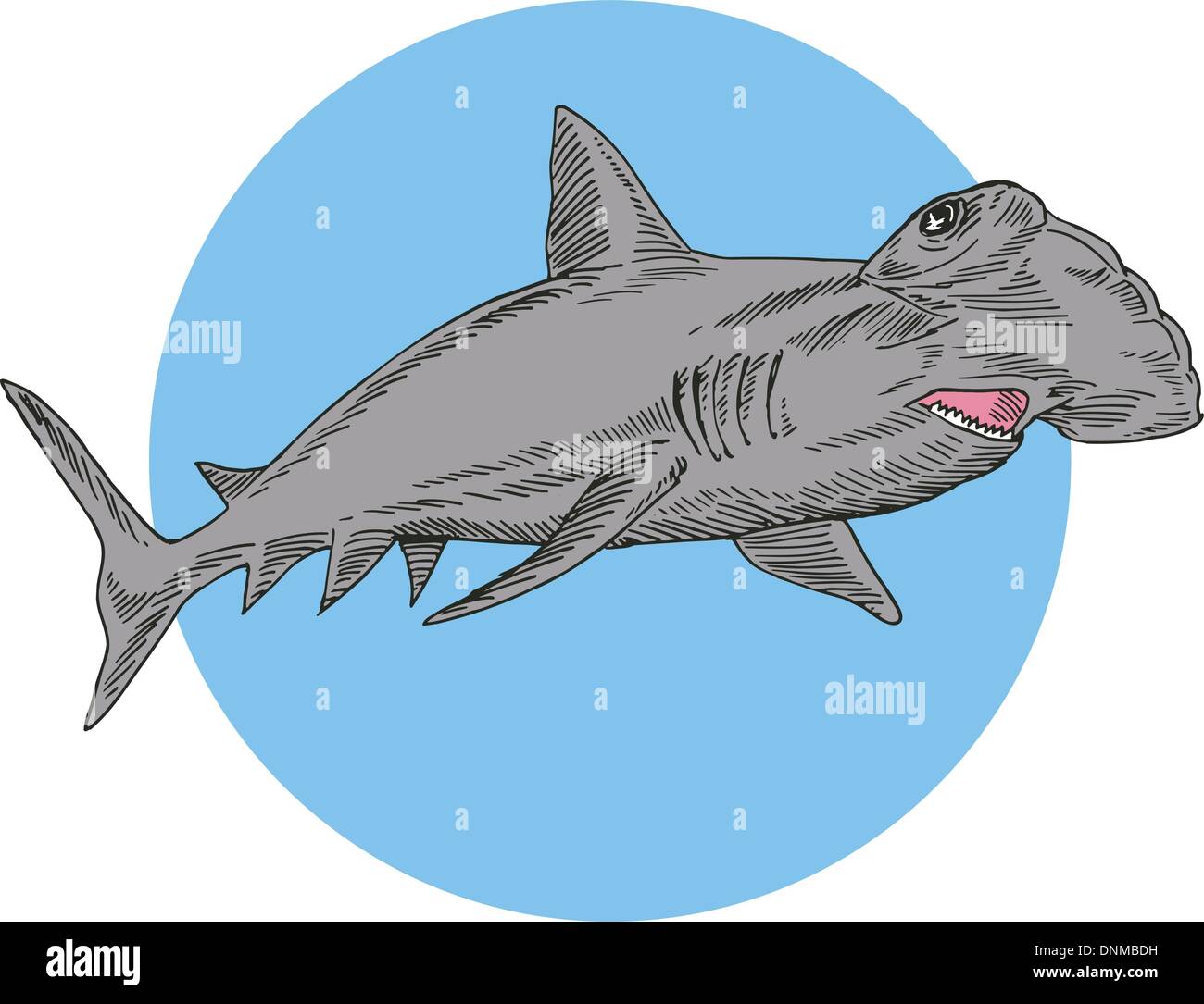 Illustrazione di squalo martello nuoto fatto in stile retrò. Illustrazione Vettoriale