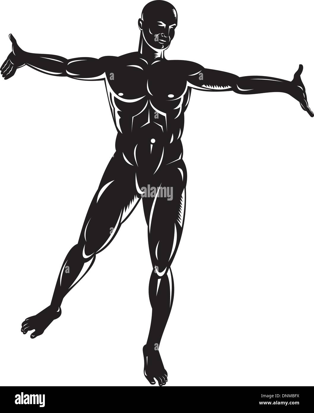 Illustrazione di anatomia umana che mostra un maschio in piedi su sfondo isolato Illustrazione Vettoriale