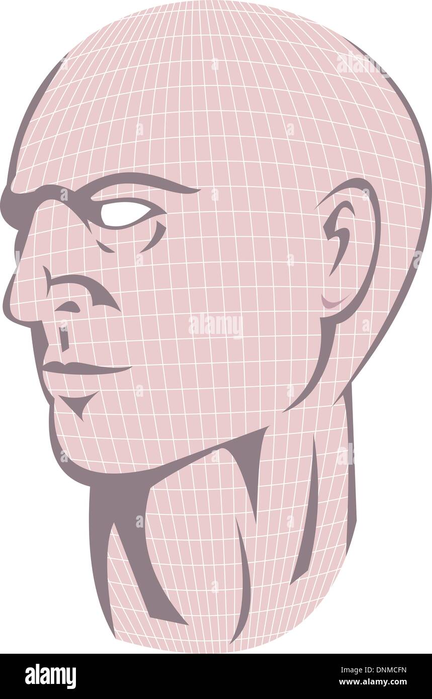 Illustrazione di un maschio di testa umana con griglia guardando al lato. Illustrazione Vettoriale