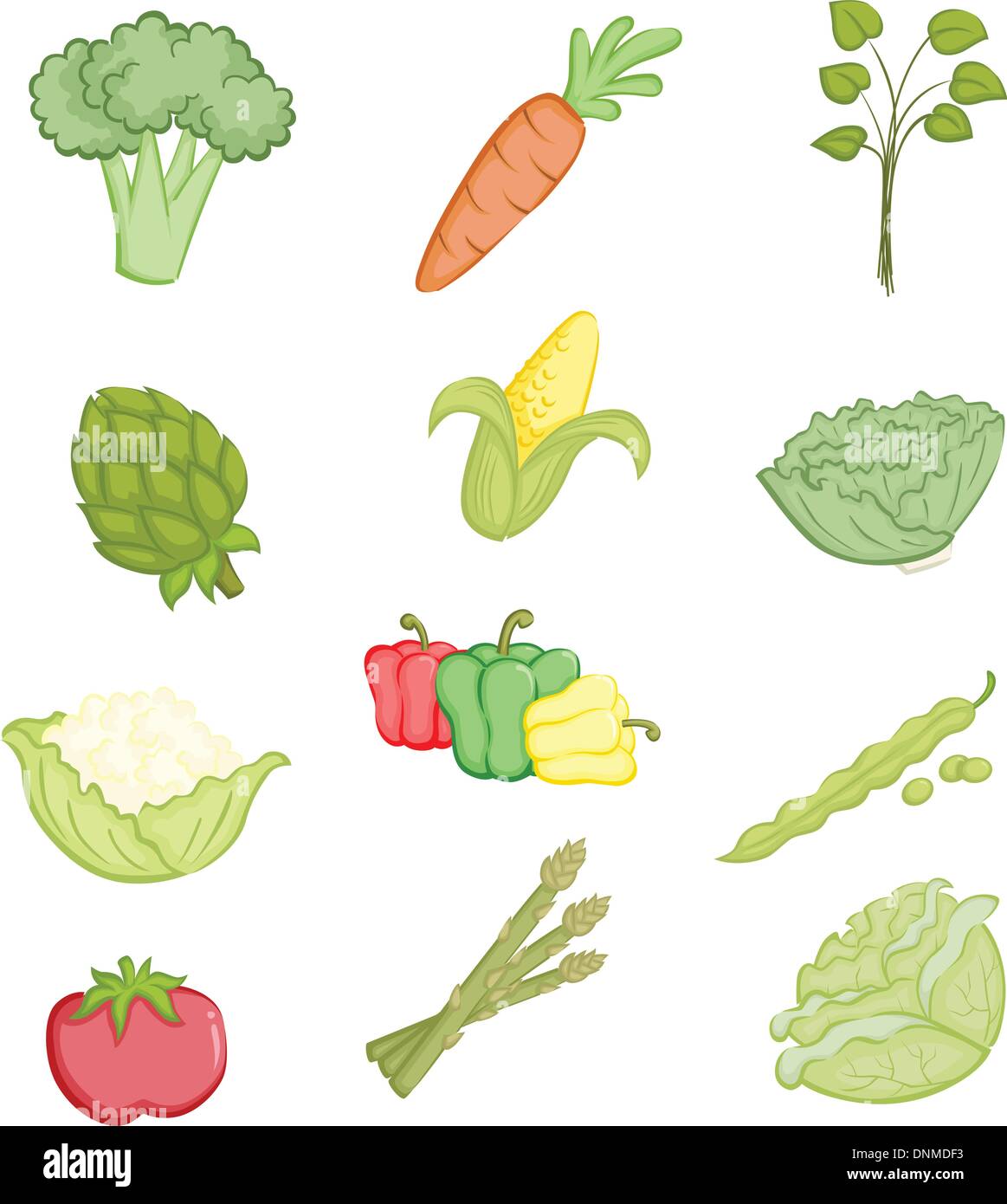Un vettore illustrazioni di una varietà di verdure le icone Illustrazione Vettoriale