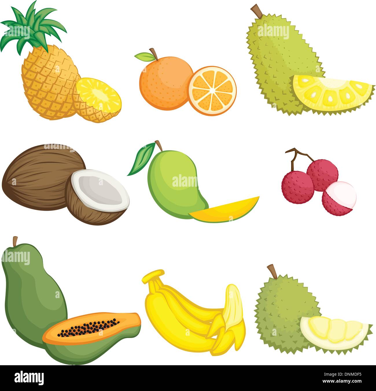 Una illustrazione vettoriale di frutti tropicali icone Illustrazione Vettoriale