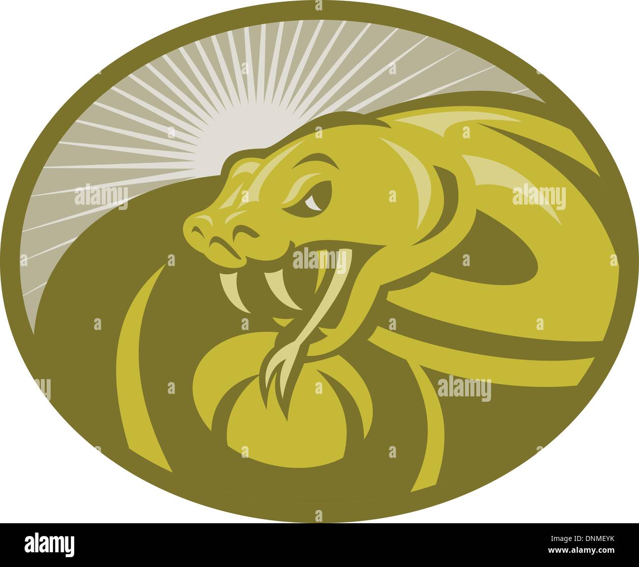 Illustrazione di un serpente arrabbiato viper che riporti le sue zanne con sunburst in background imposta all'interno di un ellisse Illustrazione Vettoriale