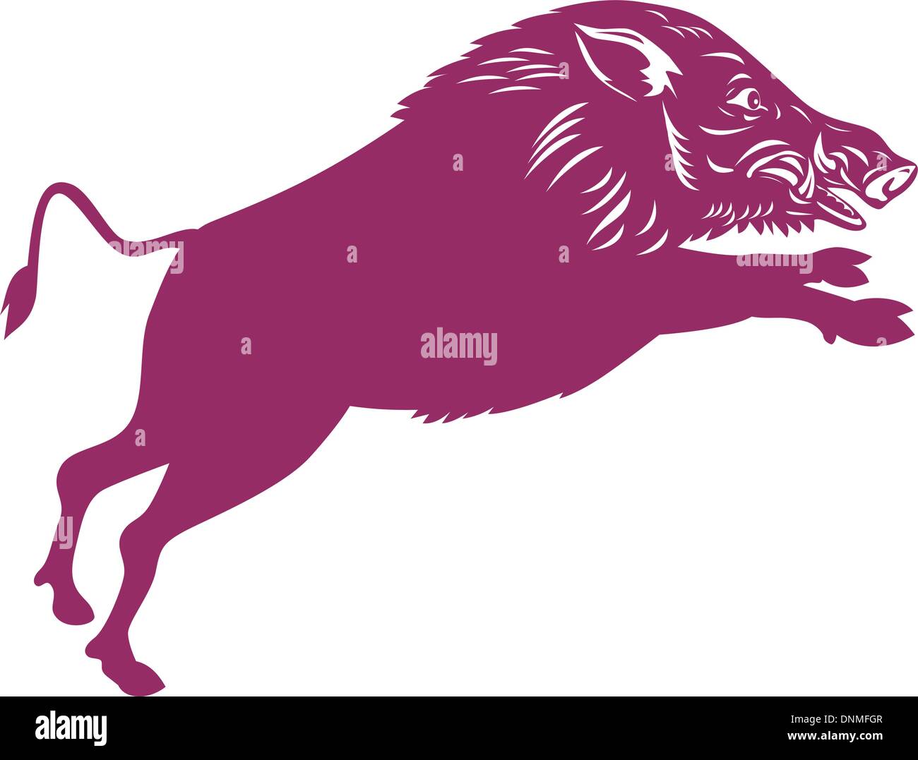 Illustrazione di un maiale selvatico cinghiale razorback su sfondo isolato fatto in stile retrò. Illustrazione Vettoriale