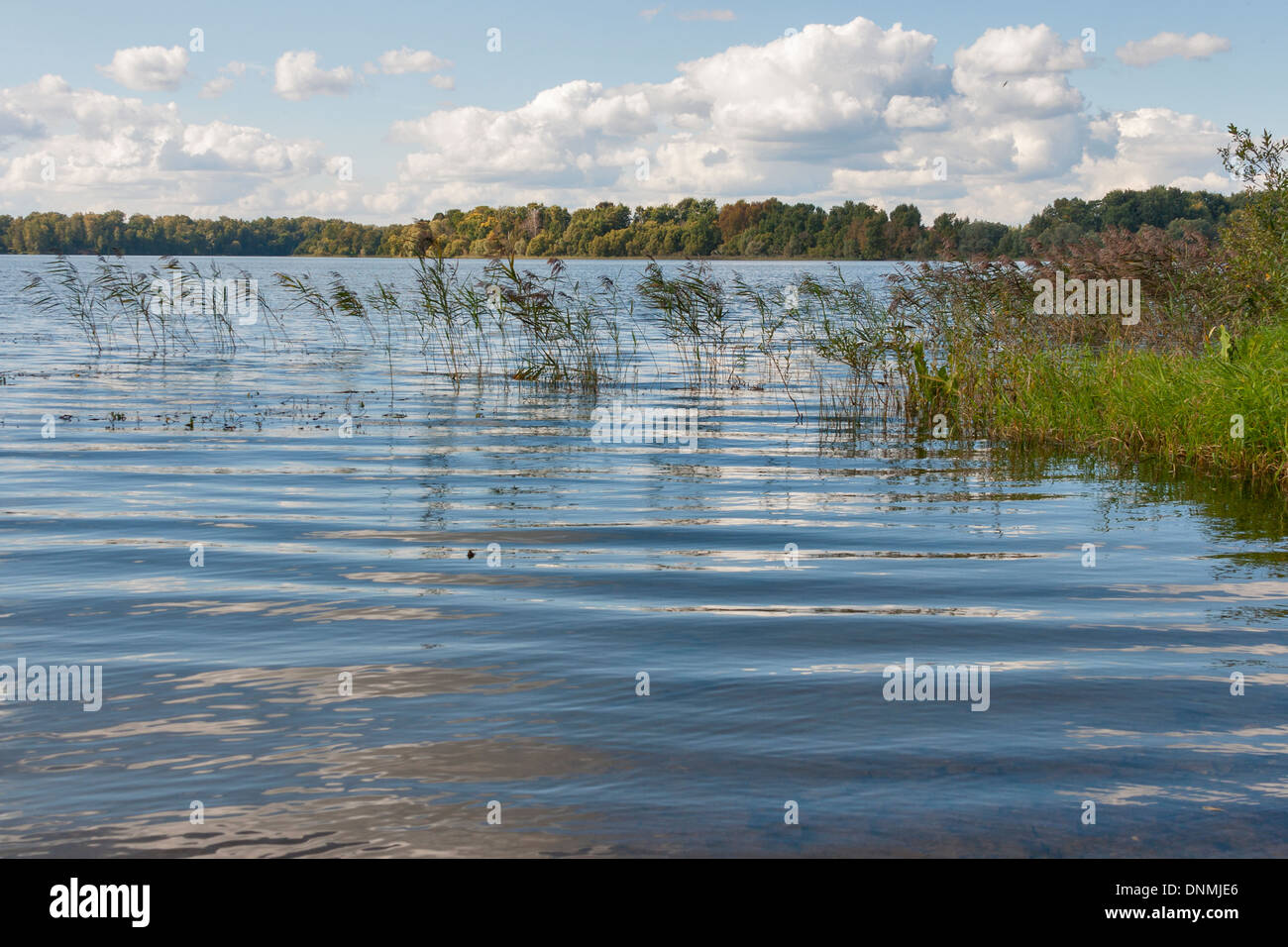 Istra Serbatoio acqua paesaggio, Russia Foto Stock