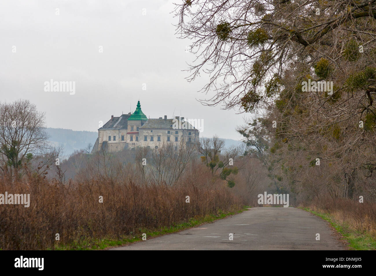 Strada di antico castello di Olesko museum in Ucraina Foto Stock