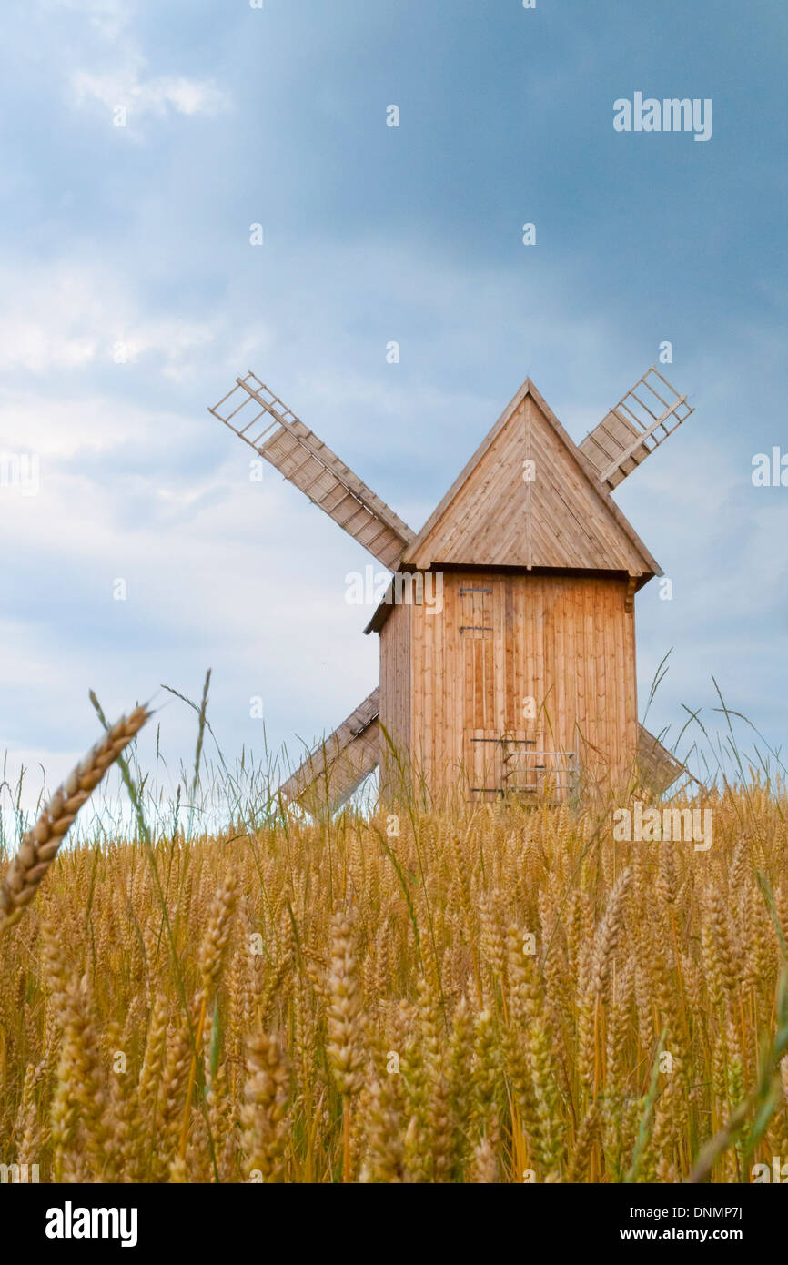 Campo di segale e il vecchio mulino Foto Stock