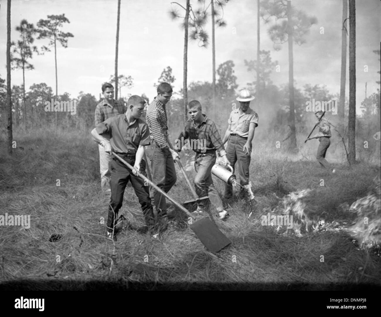 FFA ragazzi conducendo una combustione controllata in J.W. Williams Memorial foresta in Leon County, Florida Foto Stock