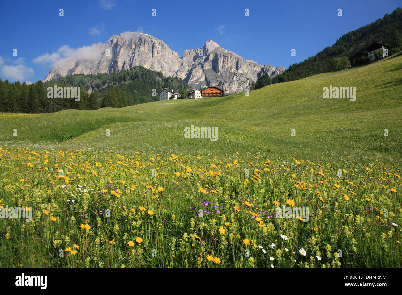 Le Dolomiti, Italia, la provincia di Bolzano, Colfosco, patrimonio mondiale dell UNESCO Foto Stock