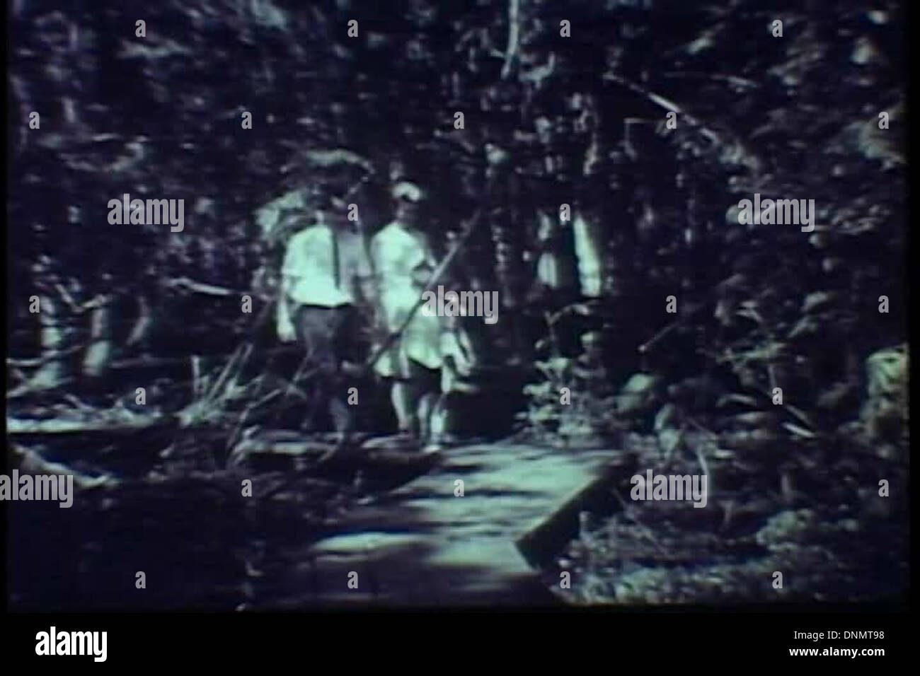 Un film promozionale degli anni '1950 della Florida Development Commission, che mostra un evento di Babbo Natale all'International Deer Ranch di Marion County, Florida. Il film presenta anche scene di Silver Springs, una delle principali attrazioni turistiche di Ocala. Foto Stock