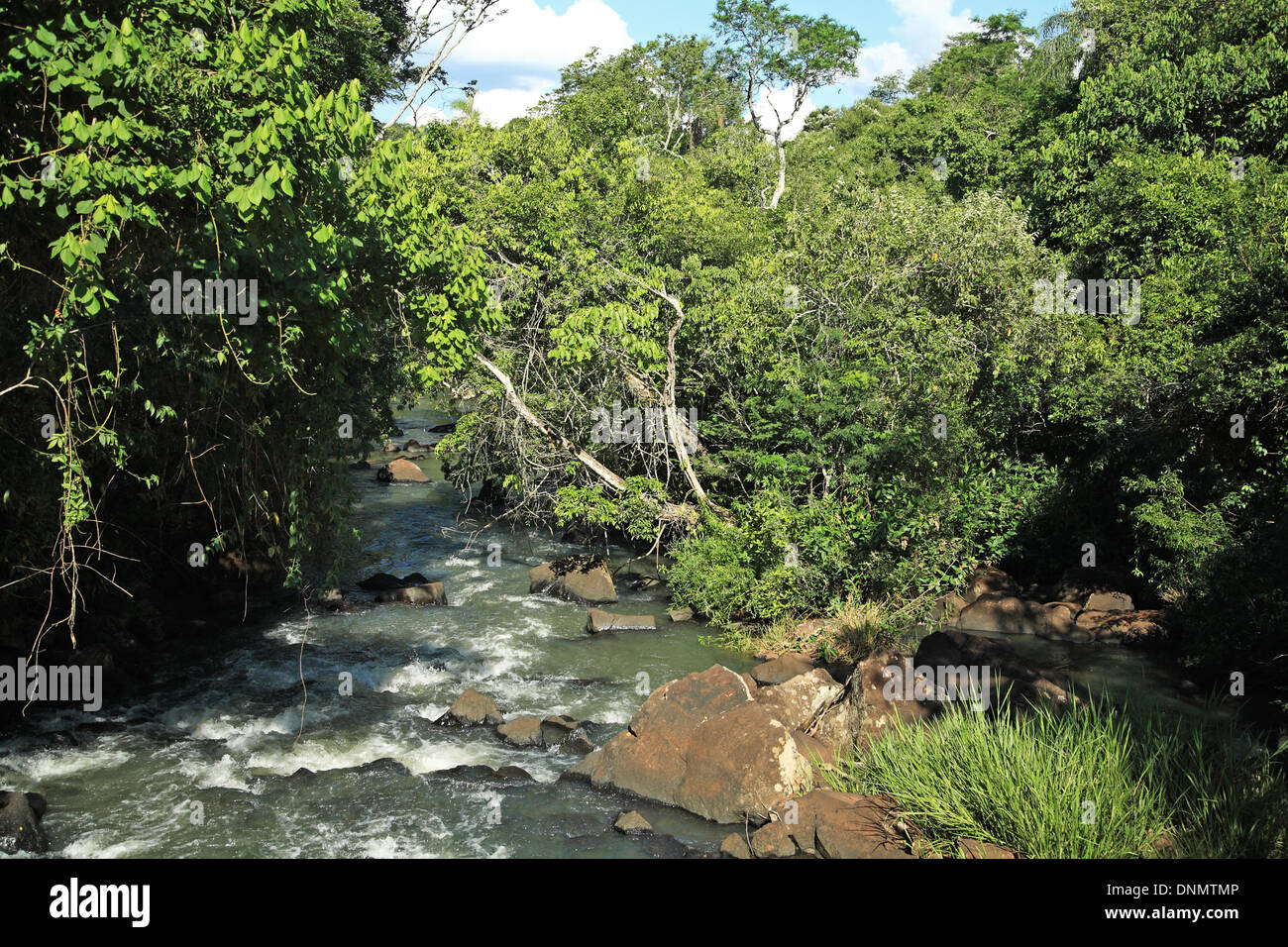 Argentina, Missiones, Parco Nazionale di Iguazu, patrimonio mondiale dell UNESCO Foto Stock