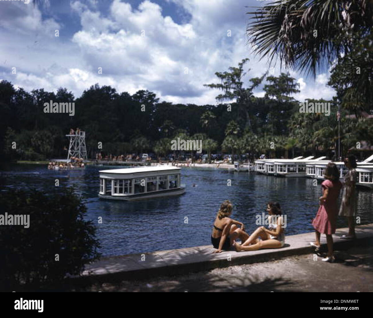 Silver Springs a Ocala, Florida, come catturato negli anni '1950, mostra escursioni in barca, barche con fondo in vetro e la bellezza naturale delle sorgenti, attirando turisti nella contea di Marion. Foto Stock