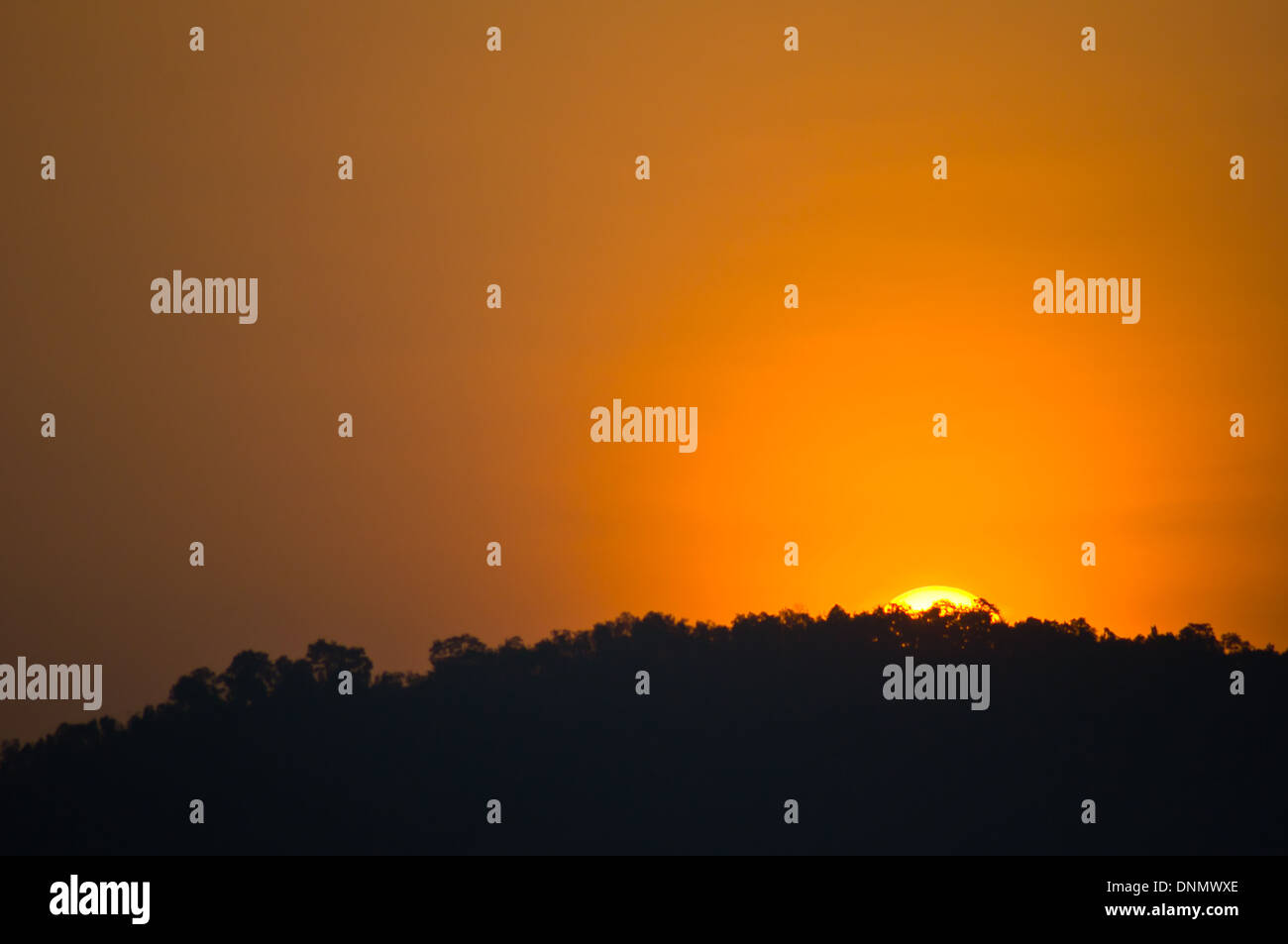 Sundown con silhouette di un albero in montagna Foto Stock