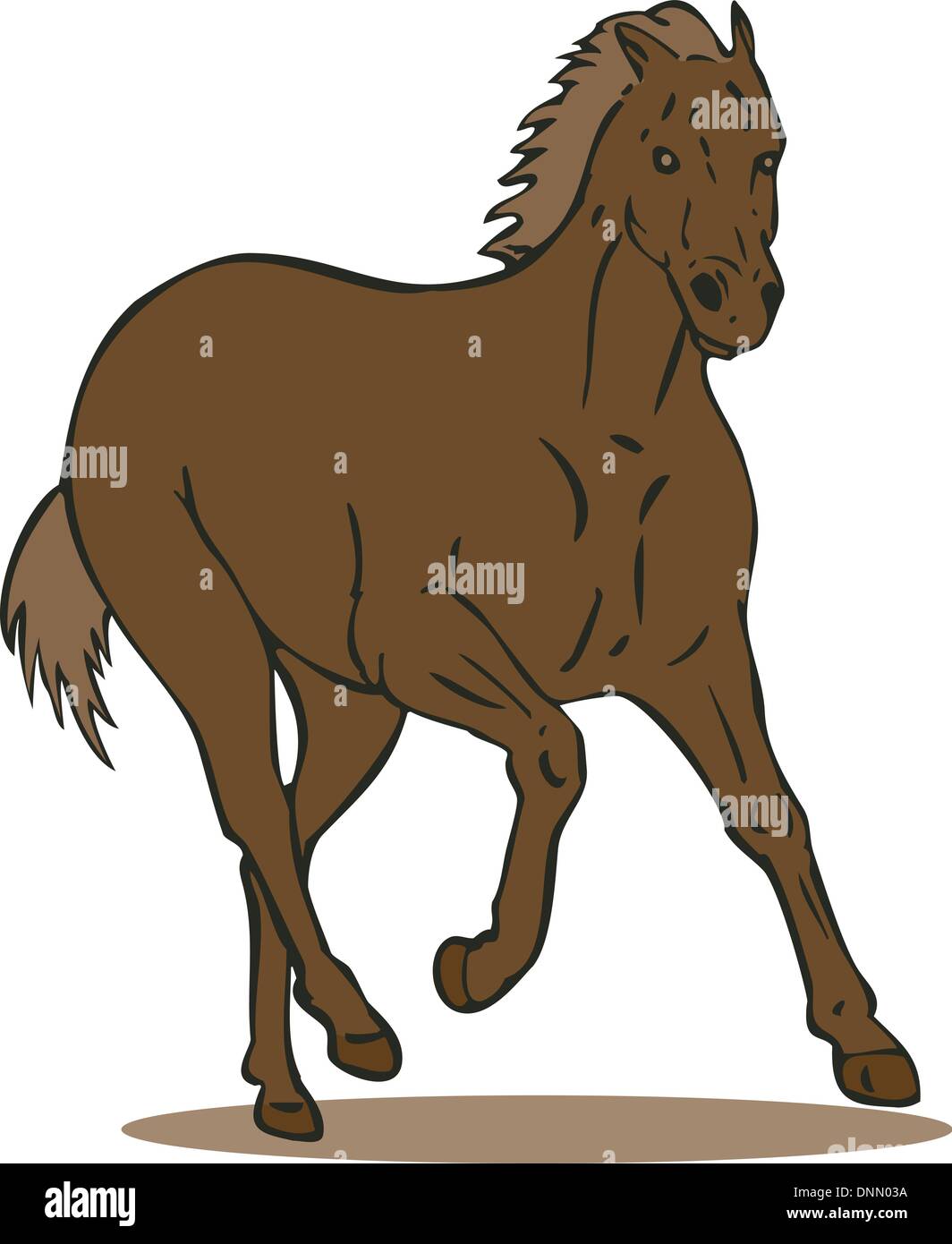 Illustrazione del cavallo al galoppo isolati su sfondo bianco fatto in stile retrò. Illustrazione Vettoriale