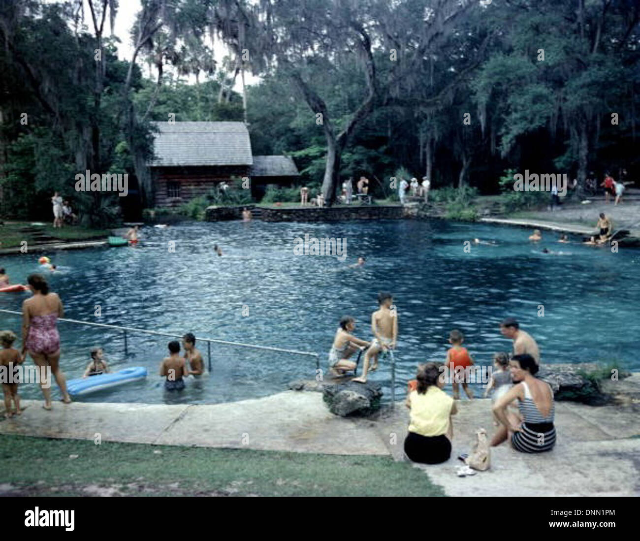 Questa fotografia degli anni '1950 mostra Juniper Springs nella foresta nazionale di Ocala, in Florida. Conosciuto per le sue querce vive e le sorgenti naturali, cattura la bellezza e le attività ricreative all'aperto nella contea di Marion. Foto Stock