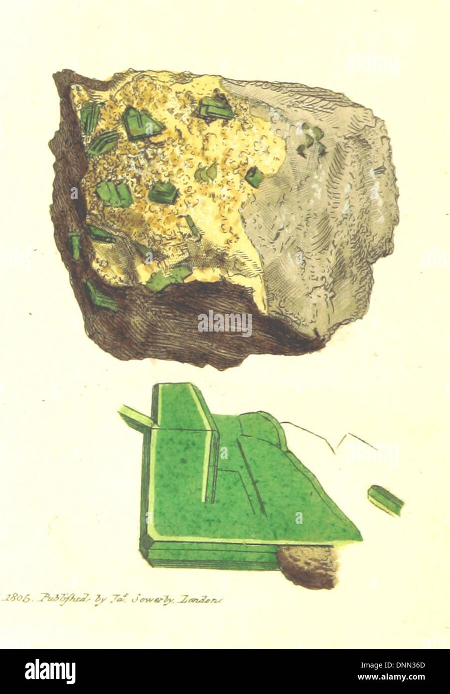 Immagine presa da pagina 124 del "british mineralogia: o figure colorate destinate a chiarire la mineralogia di Gran Bretagna. da j. sowerby (con assistenza). f.p' Foto Stock