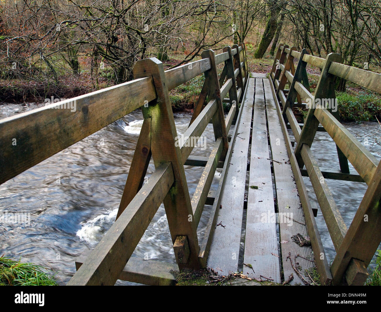 Passerella in legno attraverso il Fiume Barle, in corrispondenza di un guado vicino Whiterock giù, Exmoor. Foto Stock