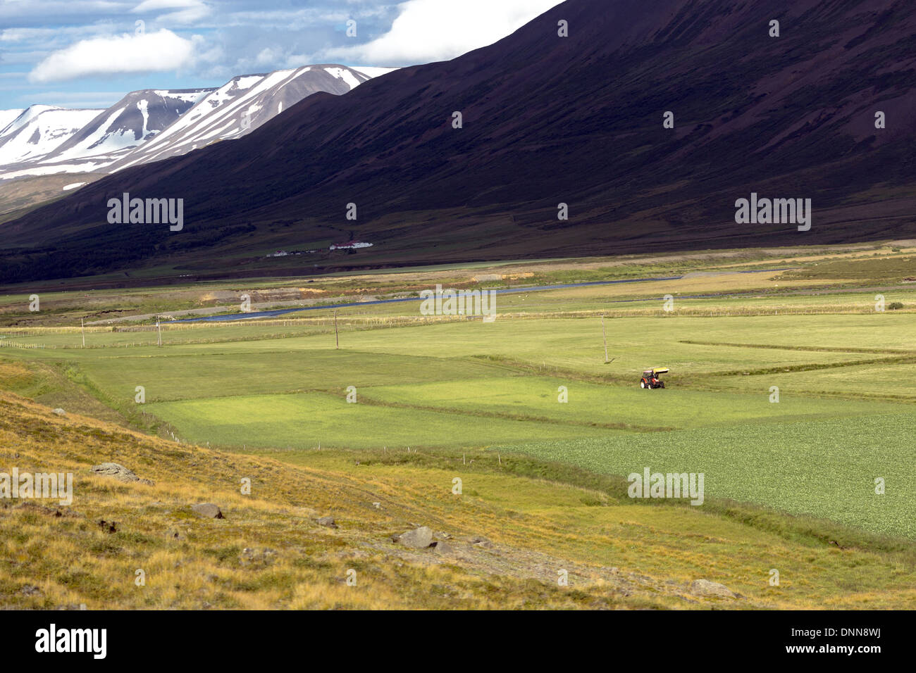 Campagna islandese con lone il trattore nel campo. Allevamento nella fertile vallata adiacente all'autostrada 1 il nord dell'Islanda Foto Stock