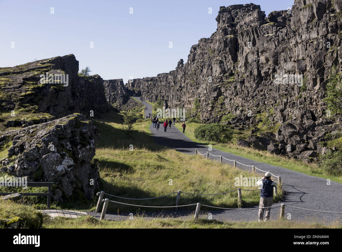 Thingvellir situato su una fessura Zona di rift in esecuzione attraverso Islanda, sulla targa tettonica confini dell'Mid-Atlantic Ridge. Foto Stock