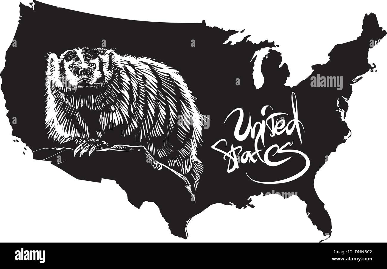 Badger e Usa mappa di contorno. Bianco e nero illustrazione vettoriale. Taxidea taxus. Illustrazione Vettoriale