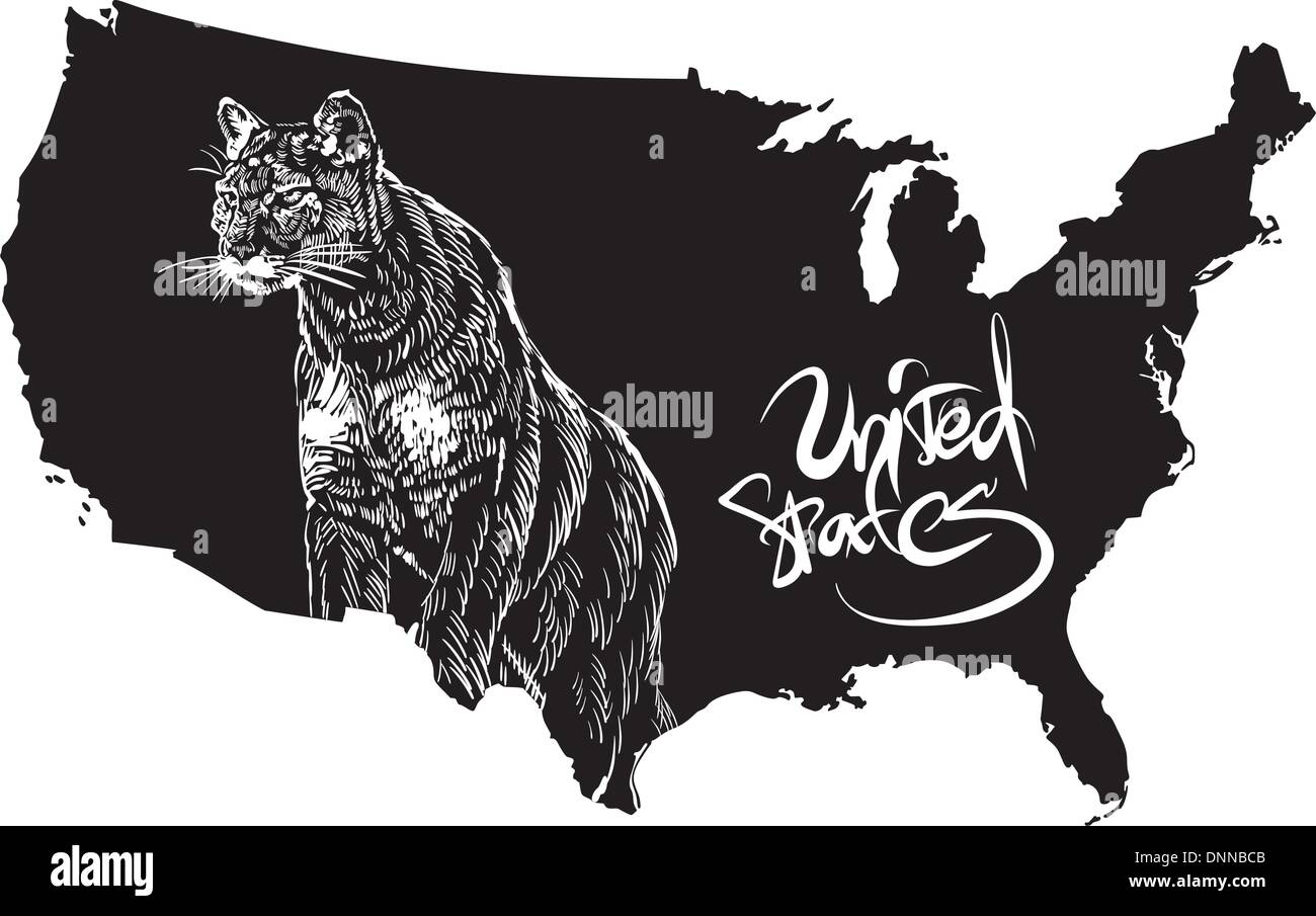 Cougar e Usa mappa di contorno. Bianco e nero illustrazione vettoriale. Puma concolor. Illustrazione Vettoriale