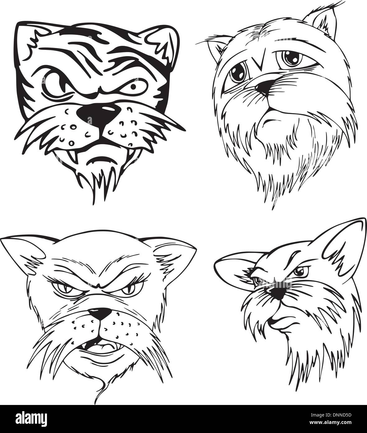 Aggressive teste cat. Set di bianco e nero vector tatuaggio disegni e modelli. Illustrazione Vettoriale
