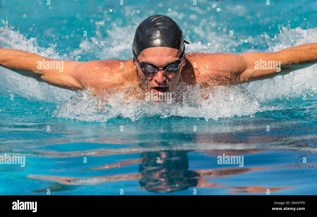 Uomo atletico nuoto Foto Stock