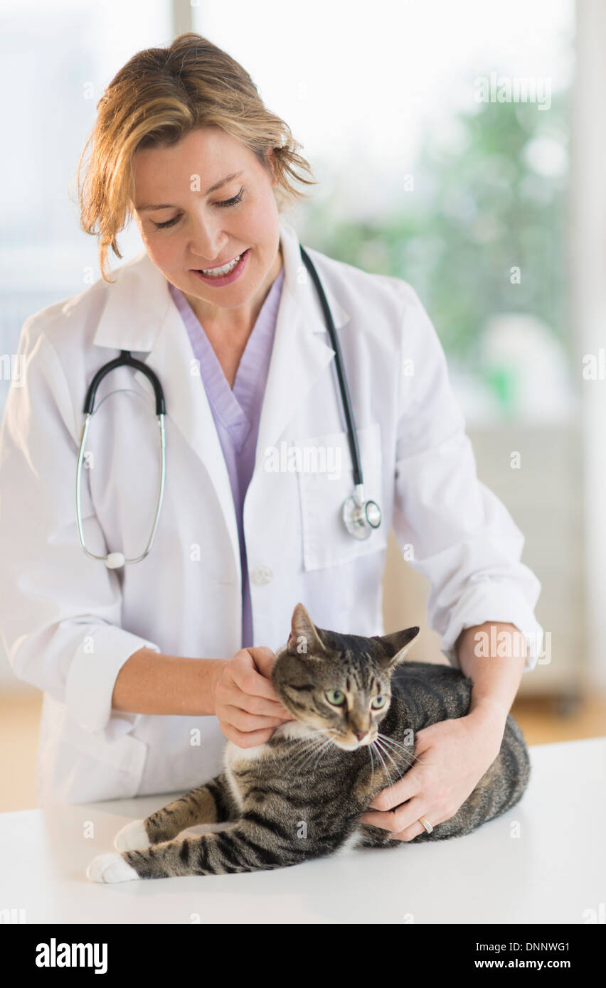 Vet femmina con cat Foto Stock