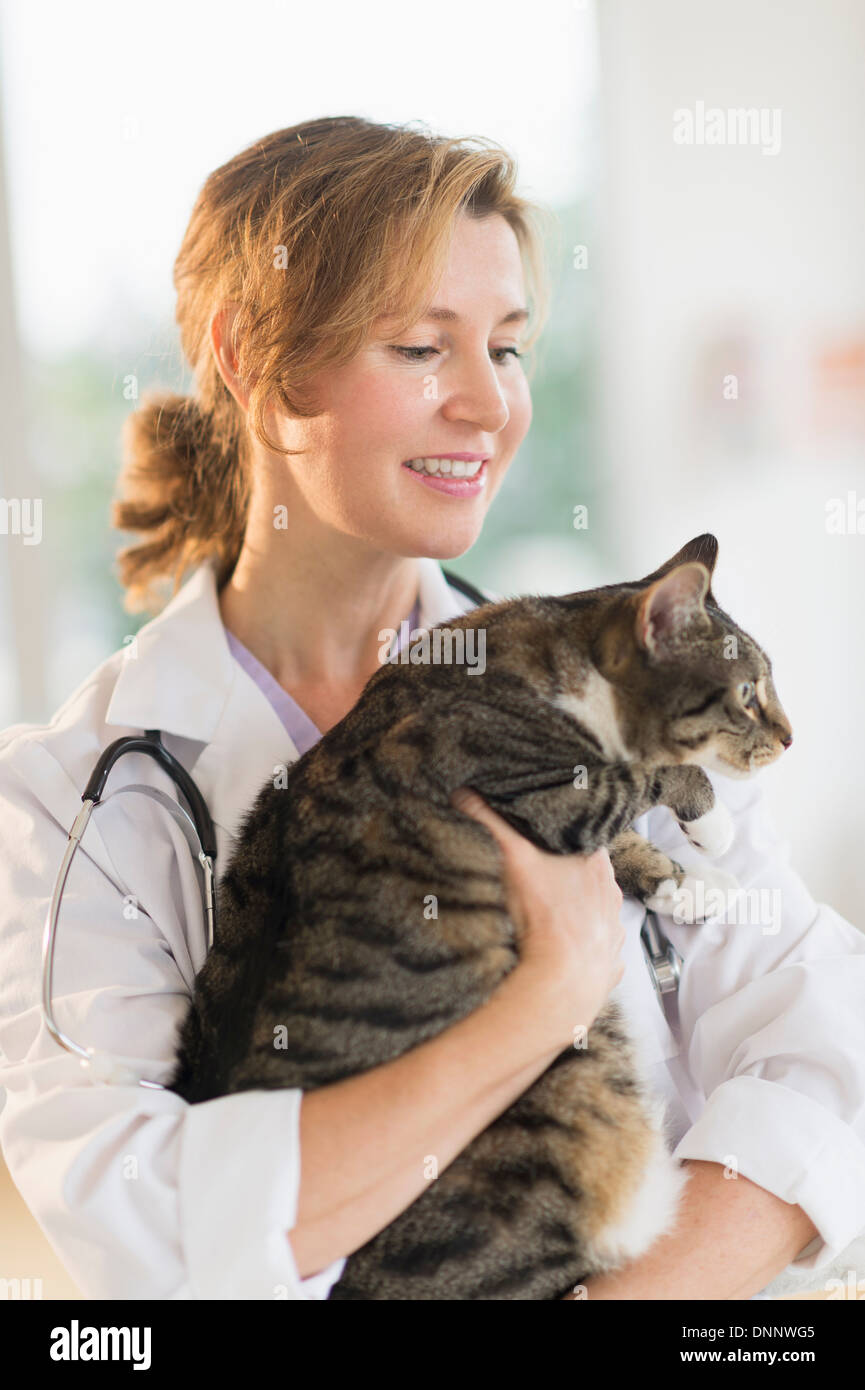 Vet femmina con cat Foto Stock