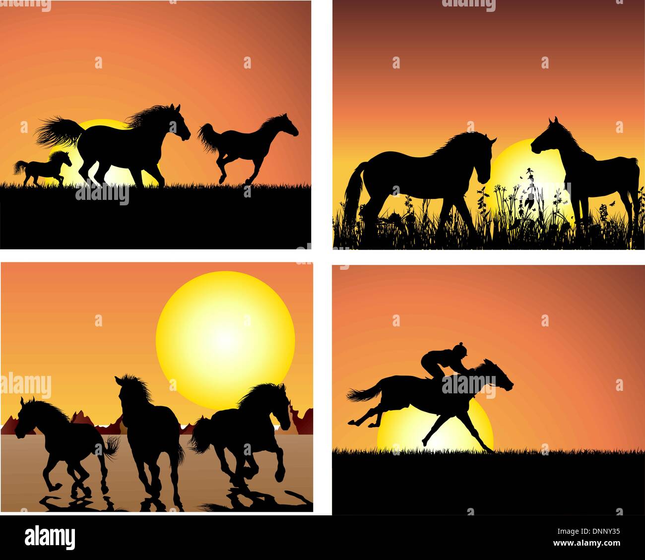 Set di silhouette di cavalli su sfondo al tramonto. Illustrazione Vettoriale. Illustrazione Vettoriale