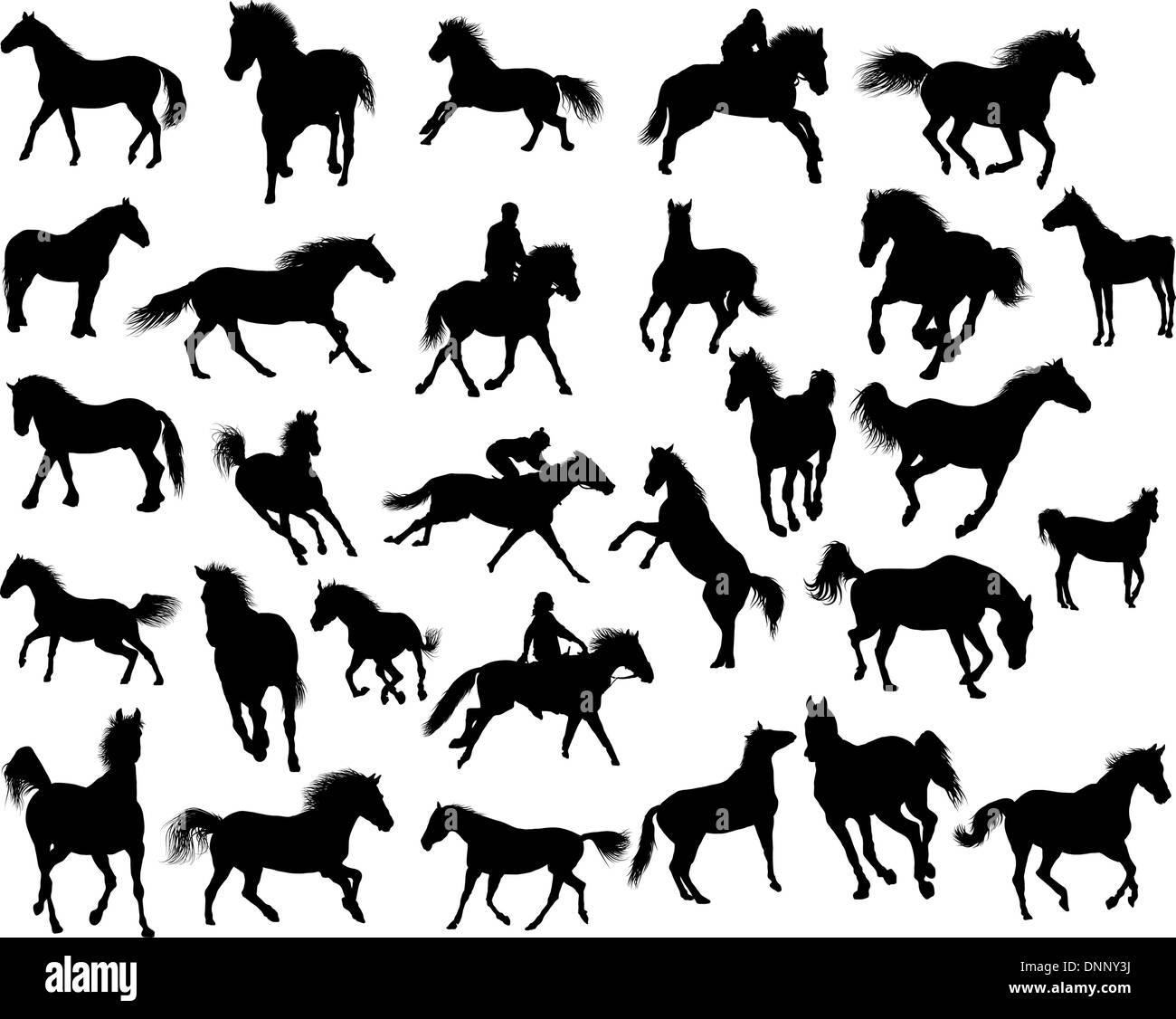 Vettore di grande raccolta di diverse sagome di cavalli Illustrazione Vettoriale