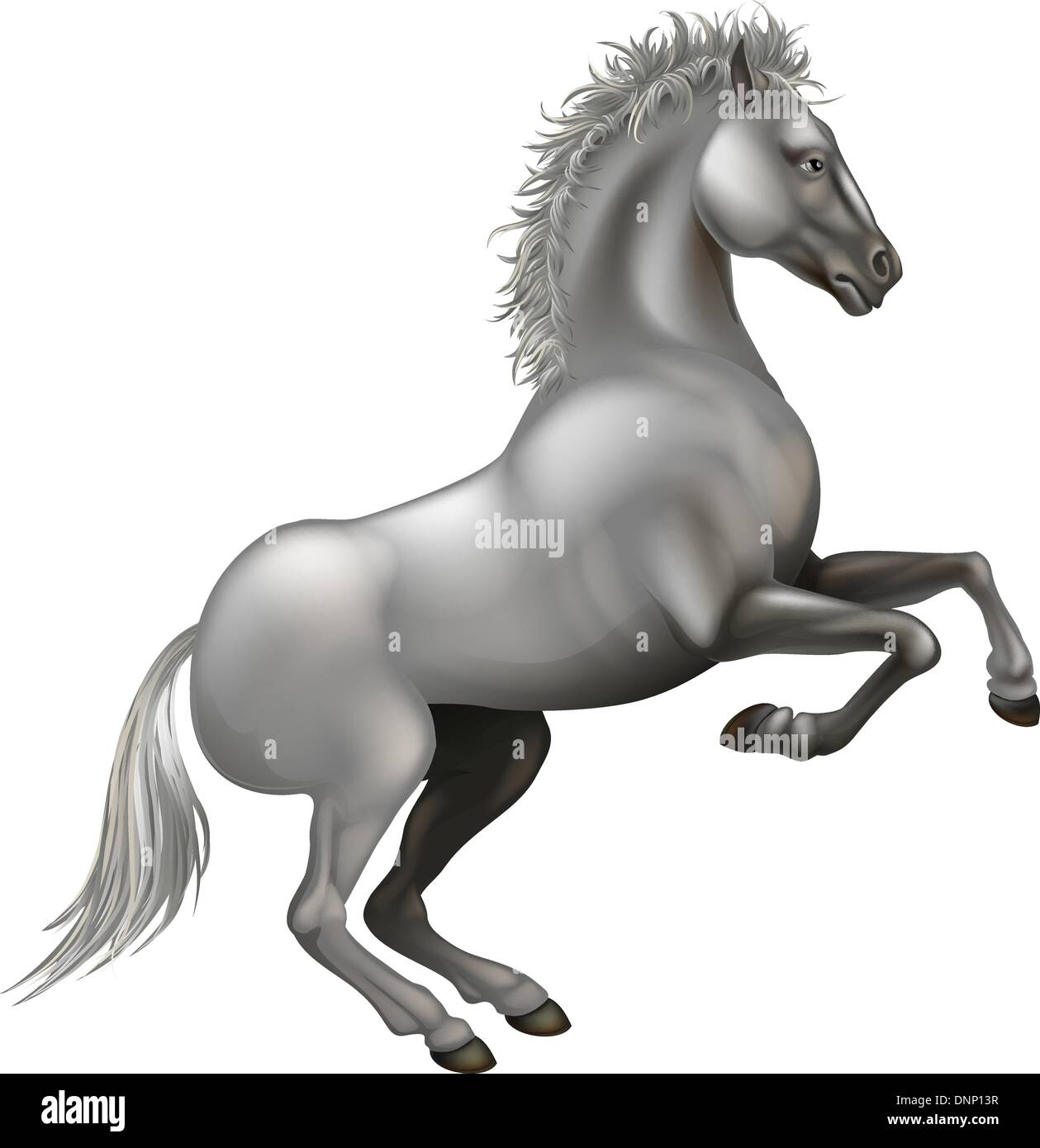 Illustrazione di un bianco potente allevamento di cavalli sulle zampe posteriori Illustrazione Vettoriale