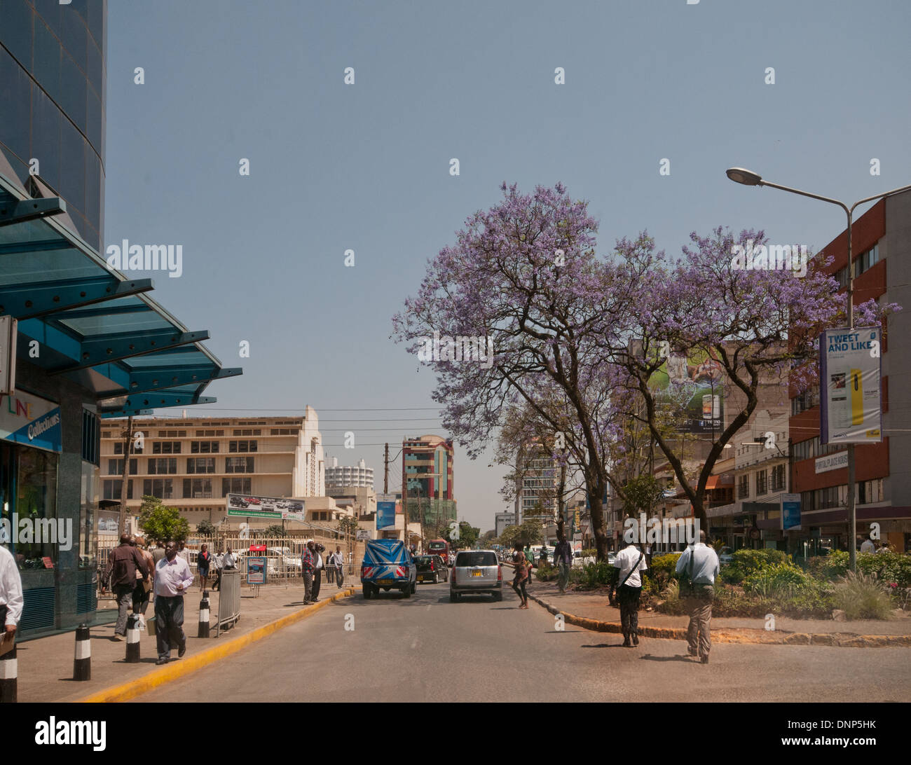 Alberi di Jacaranda su Muindi Mbingu Street Nairobi Kenya con il mercato coperto e il traffico Foto Stock