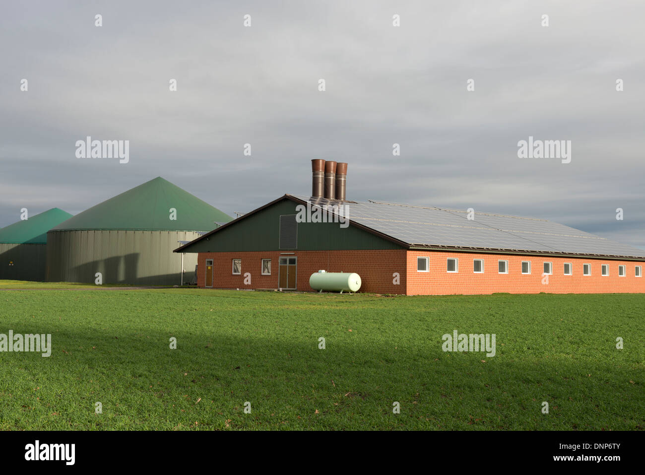 Impianto di produzione di biogas ed energia solare prodotta su un allevamento di bestiame Foto Stock