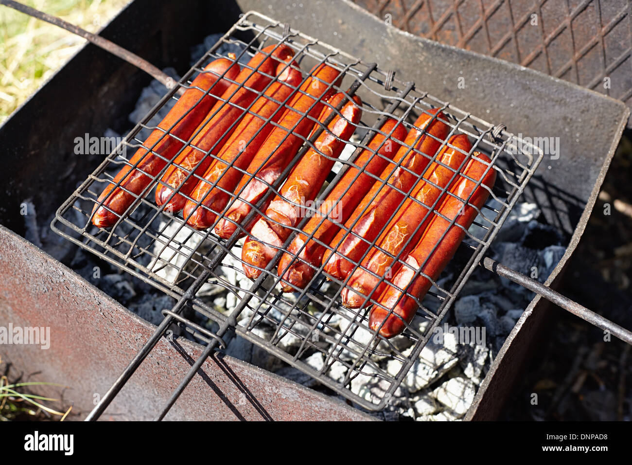 Salsicce Foto Stock