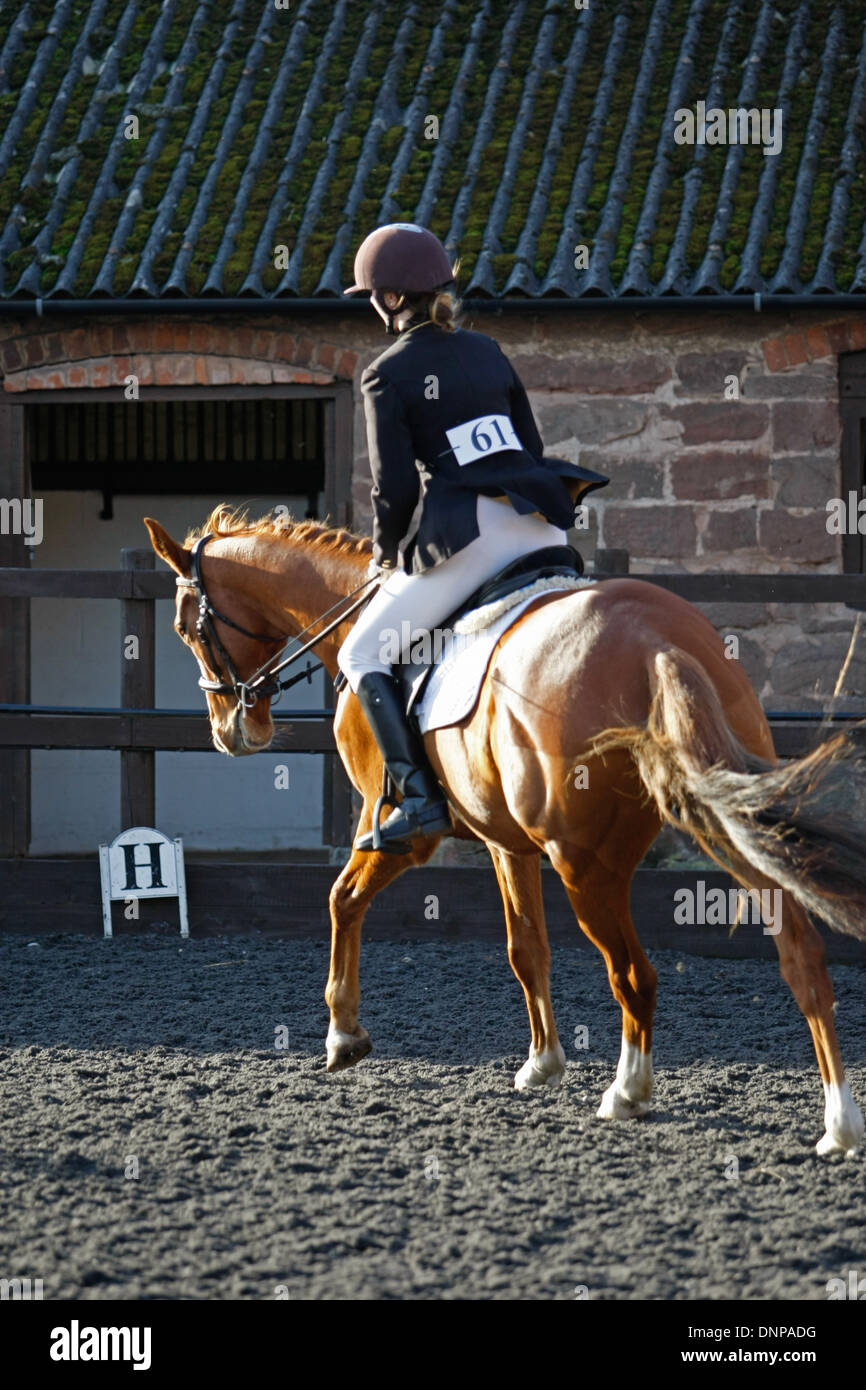 Cavallo e cavaliere di equitazione intorno un arena di prendere parte a un concorso dressage Foto Stock