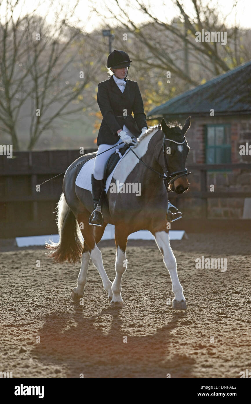 Cavallo e cavaliere di equitazione intorno un arena di prendere parte a un concorso dressage Foto Stock