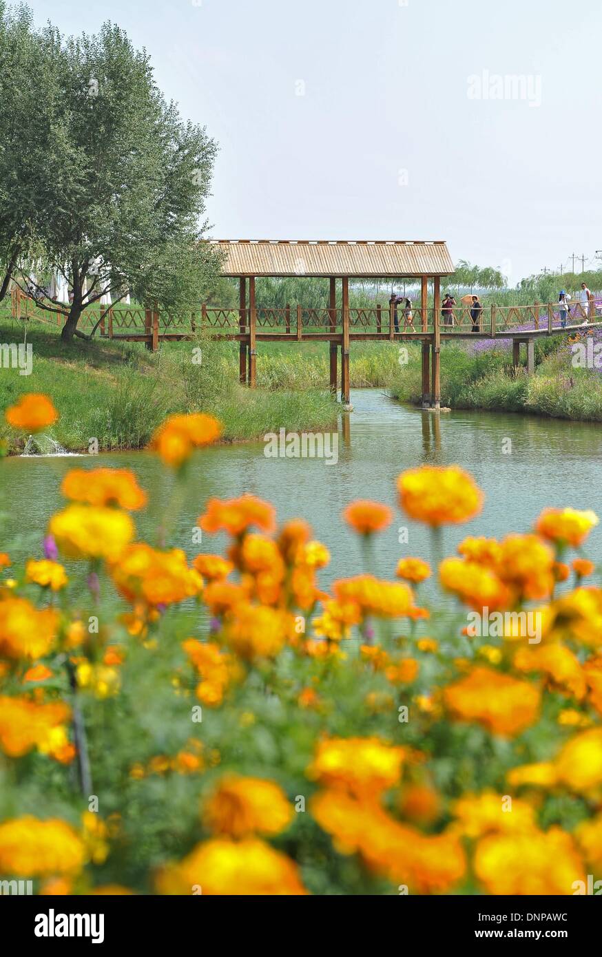 (140103) -- YINCHUAN, gen. 3, 2014 (Xinhua) -- File foto scattata il 21 agosto 2013 mostra ai visitatori touring in Jinshadao scenic area nella città di Zhongwei, a nord-ovest della Cina di Ningxia Hui Regione autonoma. Si è stimato che la Cina ha ricevuto 3,3 miliardi di turisti domestici nel 2013, aumentando 11,6 per cento anno su anno. (Xinhua/Peng Zhaozhi) (ZC) Foto Stock