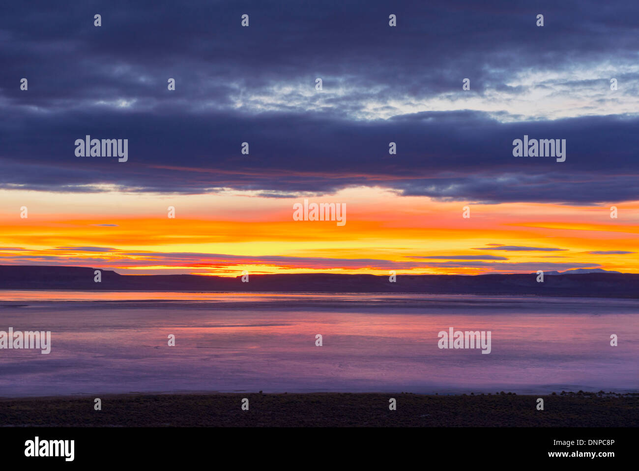 Stati Uniti d'America, Oregon, vista Alvord deserto di sunrise Foto Stock