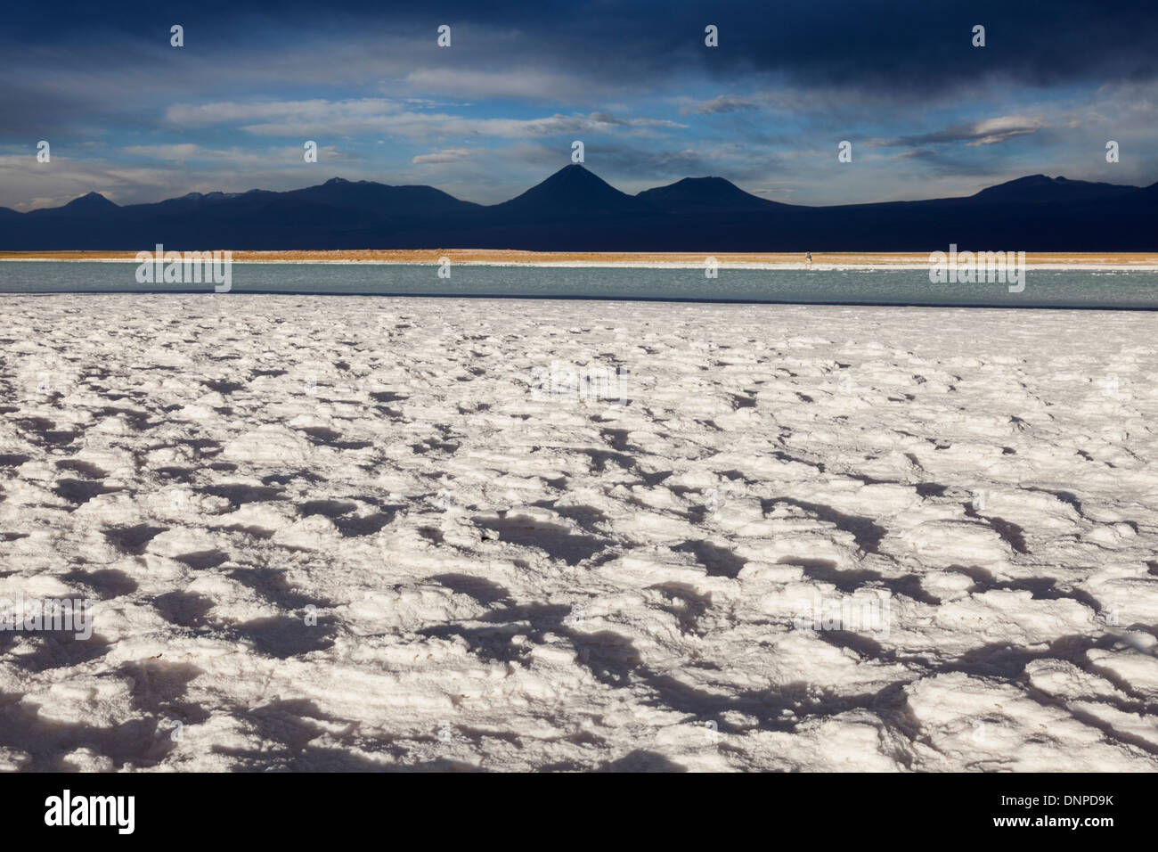 Il Cile, Antofagasta regione, il Deserto di Atacama, Vista Laguna Tebinquiche Foto Stock