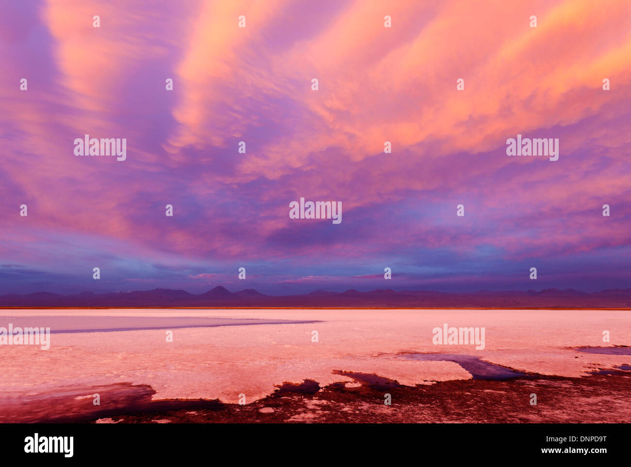 Il Cile, Antofagasta regione, il Deserto di Atacama, Vista Laguna Tebinquiche presso sunrise Foto Stock