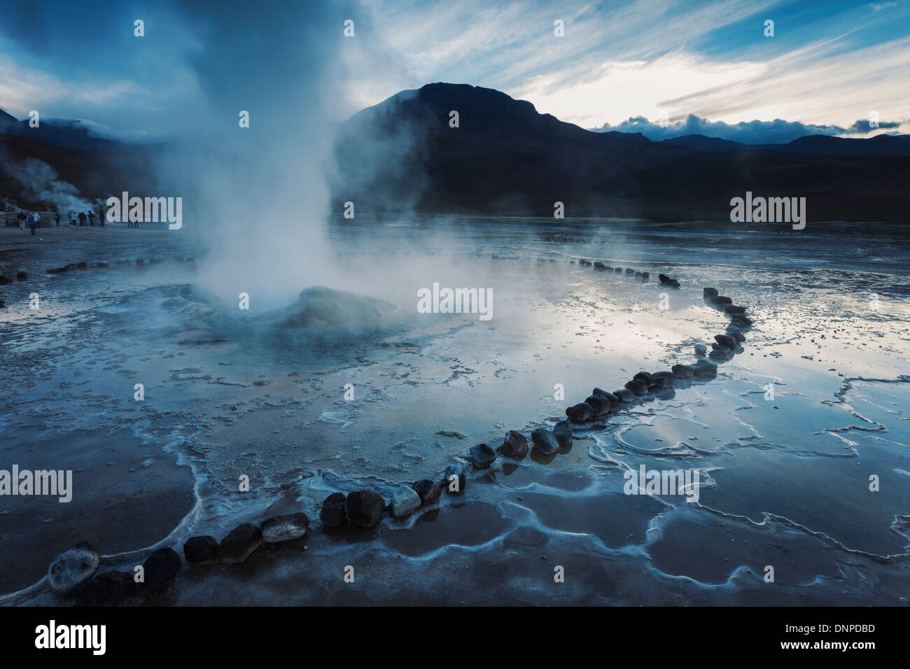 Il Cile, Regione di Antofagasta, El Tatio Geyser campo Foto Stock