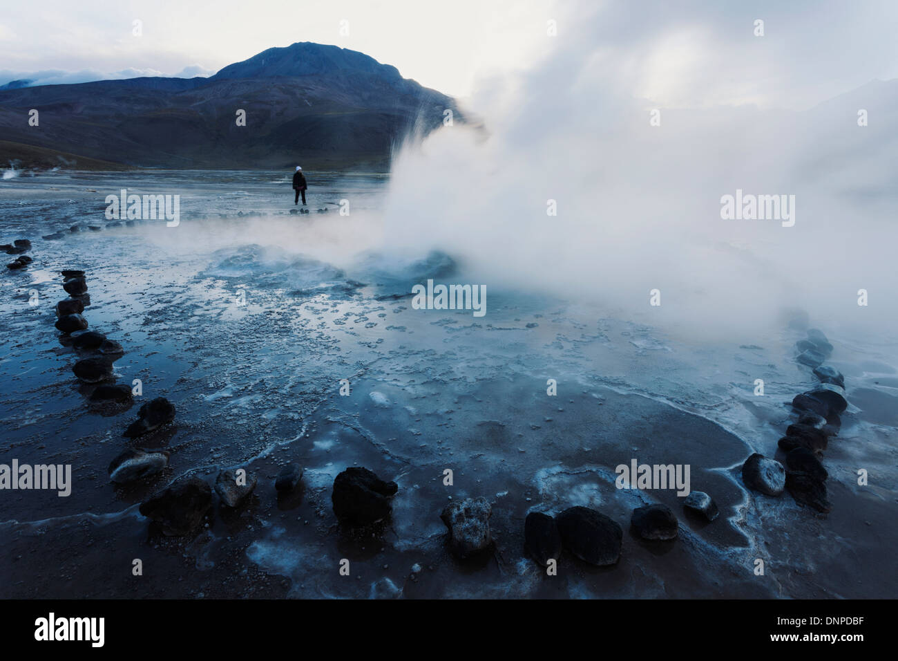 Il Cile, Regione di Antofagasta, El Tatio Geyser campo Foto Stock