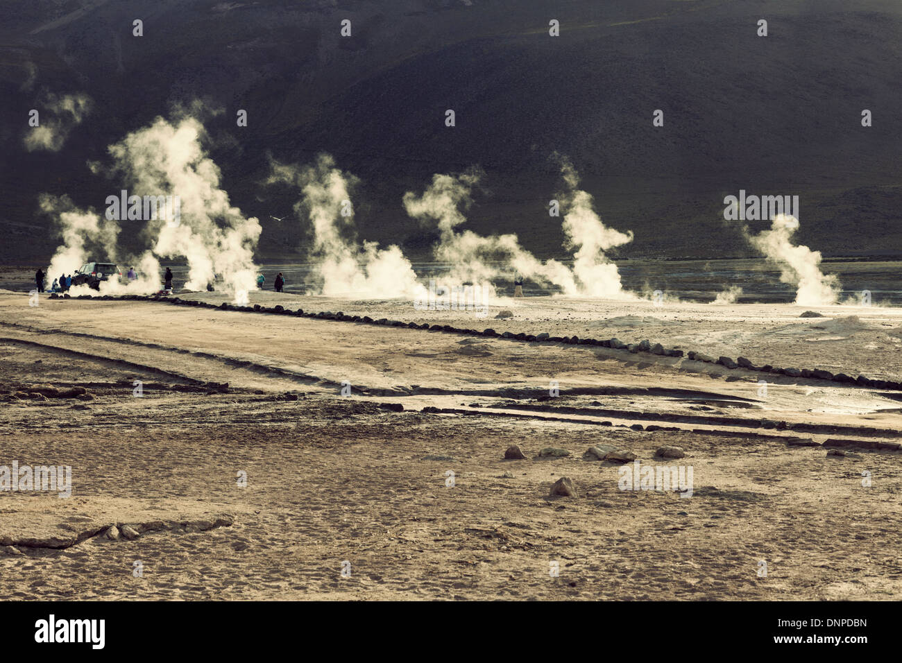 Il Cile, Regione di Antofagasta, El Tatio Geyser campo Foto Stock