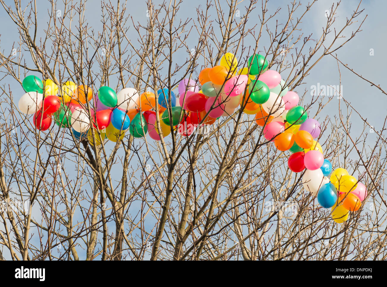 Balloons in tree immagini e fotografie stock ad alta risoluzione - Alamy