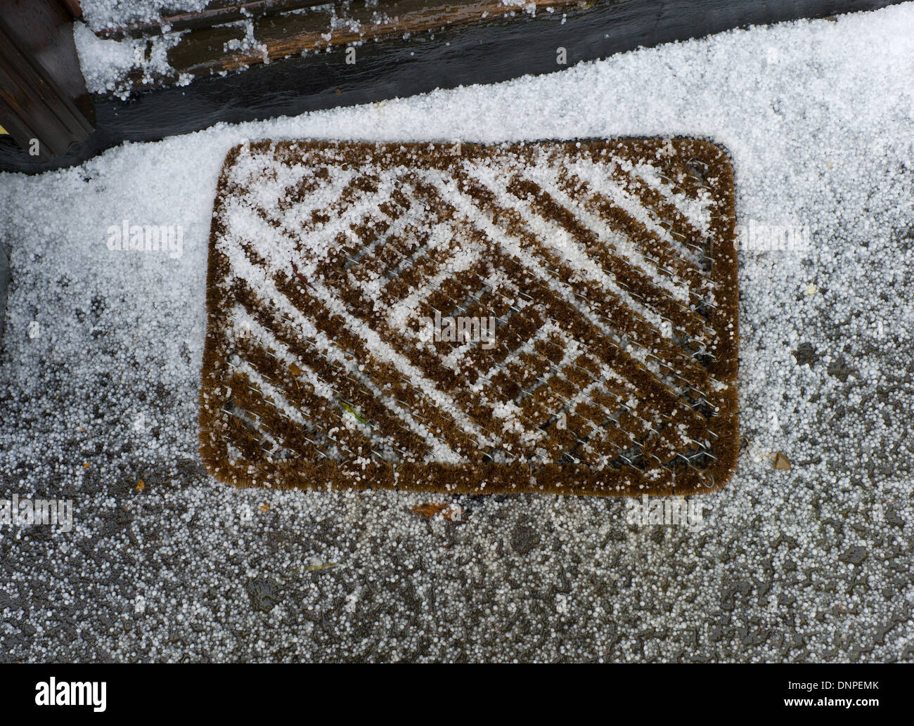 Thaxted, Essex, Regno Unito . 03 gen 2014. Pietre di grandine dopo la tempesta di Thaxted, Essex, Inghilterra, Regno Unito. 3-1-2014 La temperatura è scesa da oltre 11 gradi a zero in meno di 20 secondi come una tempesta di grandine spazzato attraverso parti dell'Inghilterra orientale oggi. Credito: BRIAN HARRIS/Alamy Live News Foto Stock