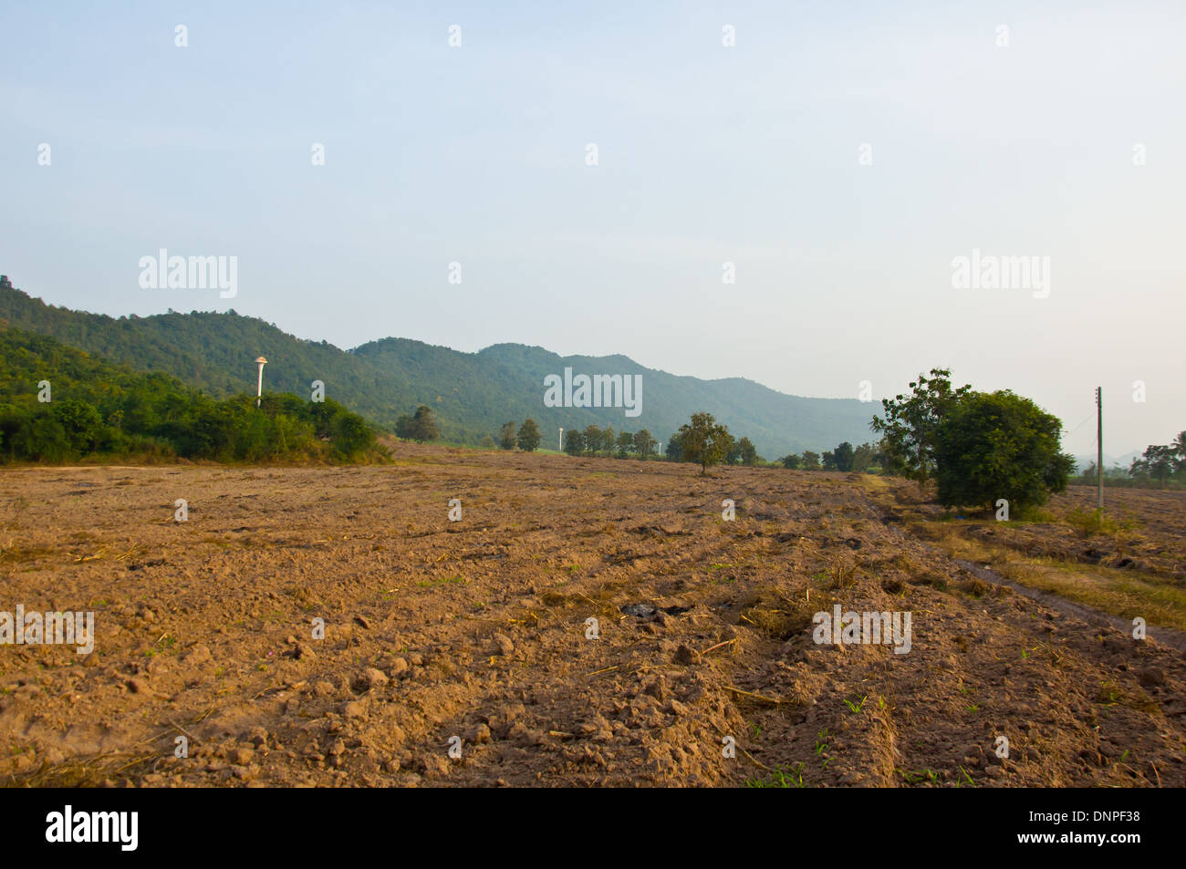 Preparazione della terra per la fattoria tropicale Foto Stock