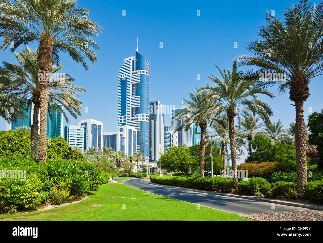 Skyline del centro elevato aumento di grattacieli con palme città di Dubai, Emirati Arabi Uniti, Emirati arabi uniti, Medio Oriente Foto Stock