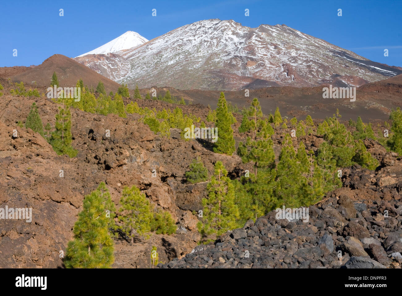 Il monte Teide, Roques Blancos & Pico Viejo dal campo dei vulcani Foto Stock